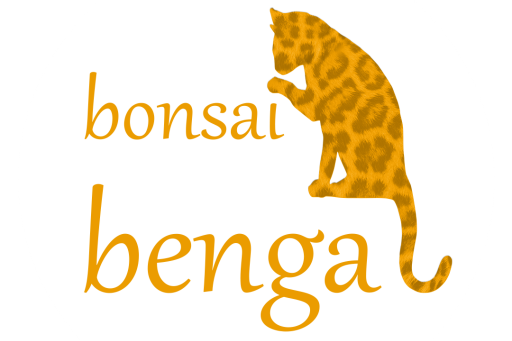 Bonsai Bengal