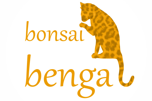 Bonsai Bengal & Friends